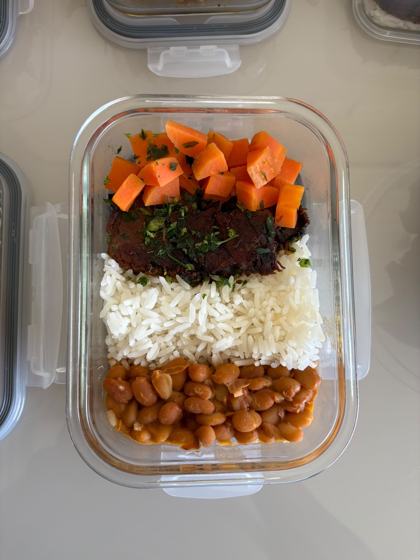 Marmita com carne, arroz, feijão e cenoura vista de cima